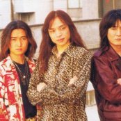 Gerard - List pictures