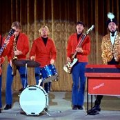 Sam The Sham & The Pharaohs - List pictures