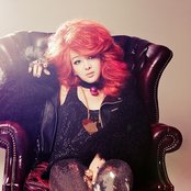 Fat Cat - List pictures