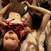 Sleepytime Gorilla Museum - List pictures