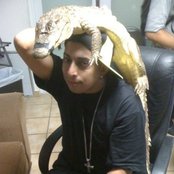 Nengo Flow - List pictures