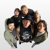 Insolence - List pictures