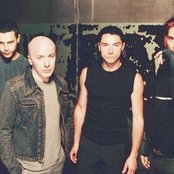 Bush - List pictures