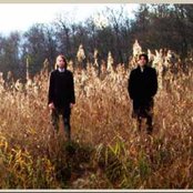 Tarwater - List pictures