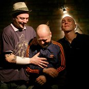 Lipa - List pictures