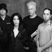 Kidneythieves - List pictures