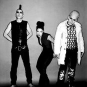 Mdfmk - List pictures