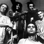 Ozric Tentacles - List pictures