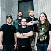 Job For A Cowboy - List pictures