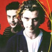 Bush - List pictures