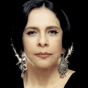 Gal Costa - List pictures