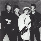 Quarter Flash - List pictures