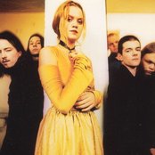 Pale Forest - List pictures