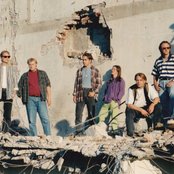 Savo - List pictures