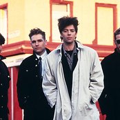 Echo & The Bunnymen - List pictures