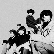 Question Mark & The Mysterians - List pictures