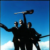 Crackout - List pictures