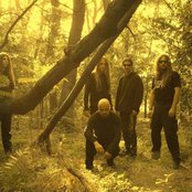 Sear Bliss - List pictures