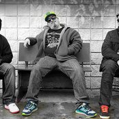 Rehab - List pictures