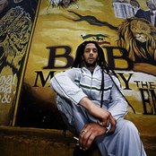 Julian Marley - List pictures