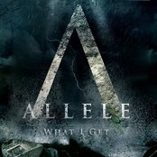 Allele - List pictures