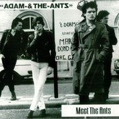 Adam And The Ants - List pictures