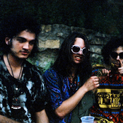 Night Beats - List pictures