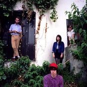 Veronica Falls - List pictures