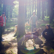 Aloa Input - List pictures