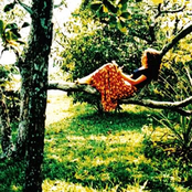 Vanessa Da Mata - List pictures