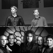 Iris - List pictures