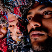 Zun Zun Egui - List pictures