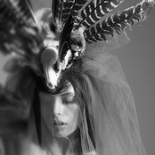 The Ghost Of A Saber Tooth Tiger - List pictures