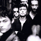 The London Suede - List pictures