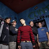 Zebrahead - List pictures