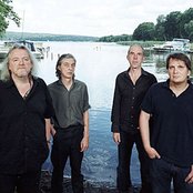 Element Of Crime - List pictures