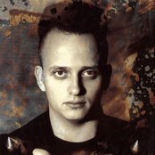 Leaether Strip - List pictures