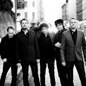 Weeping Willows - List pictures