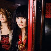 Heart - List pictures