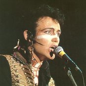 Adam Ant - List pictures