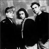 Cause And Effect - List pictures