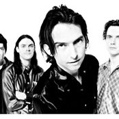 Brother Cane - List pictures