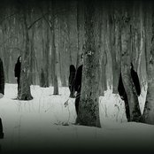 Sear Bliss - List pictures