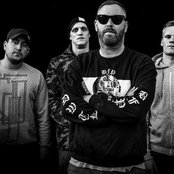 Born From Pain - List pictures