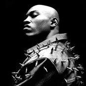 Sticky Fingaz - List pictures