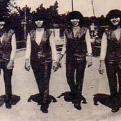 Dara Puspita - List pictures