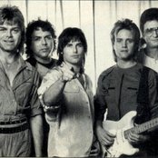 Survivor - List pictures