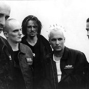 Megaherz - List pictures