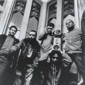 The Avalanches - List pictures