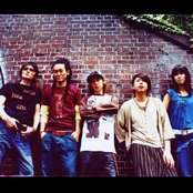 Aqua Timez - List pictures